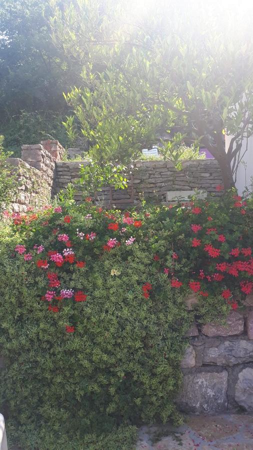 Vila Lucice Petrovac エクステリア 写真